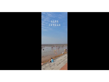 海邊尋寶，劉家灣趕海園—泰安金輝國旅
