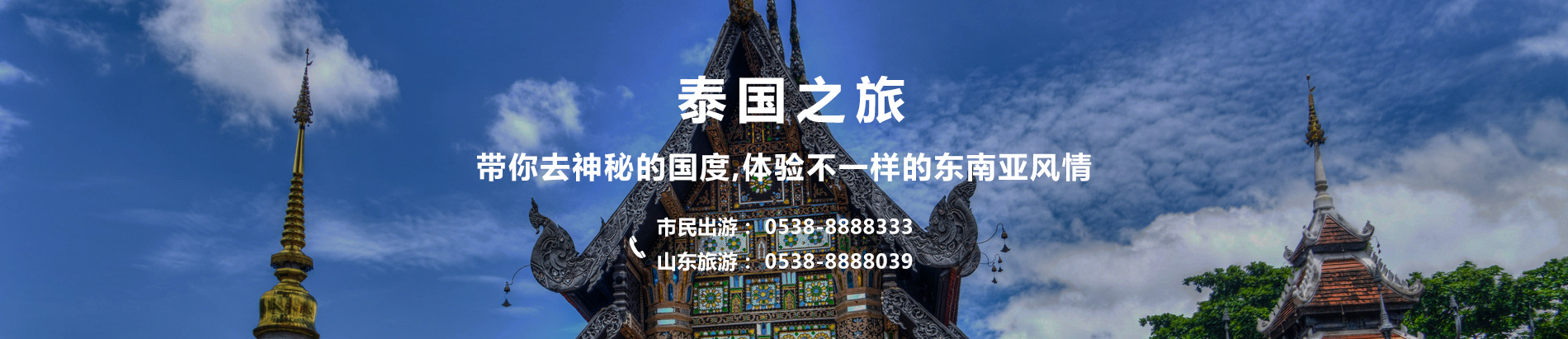 泰安市泰山金輝國際旅行社有限公司
