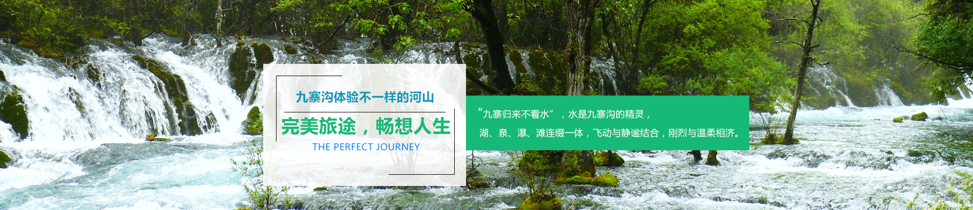 泰安市泰山金輝國際旅行社有限公司